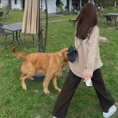 鬼魂西行