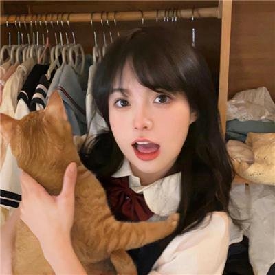 动物园之夜